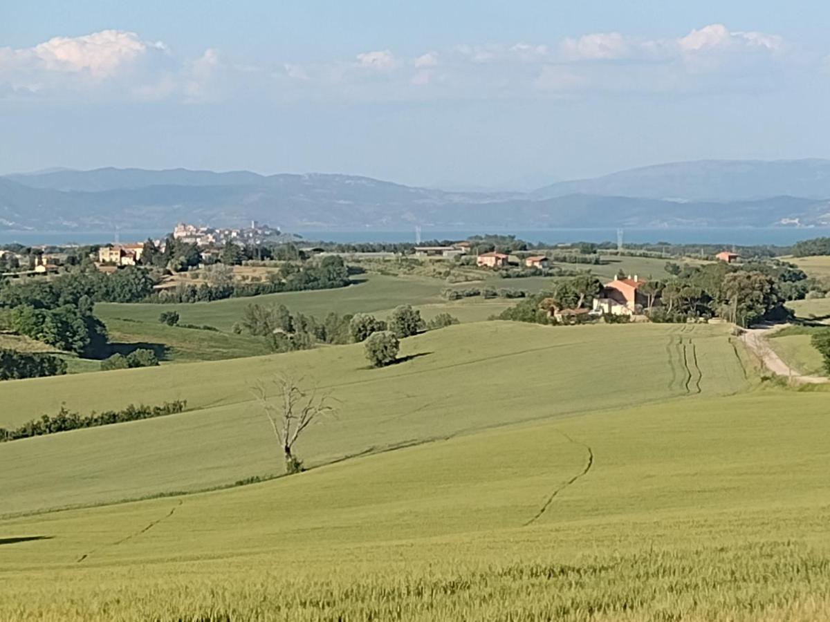 Casa La Selvella Villa Gioiella Exteriör bild